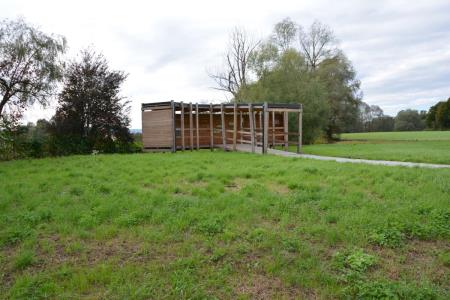 Mokrišče Hraše (5)